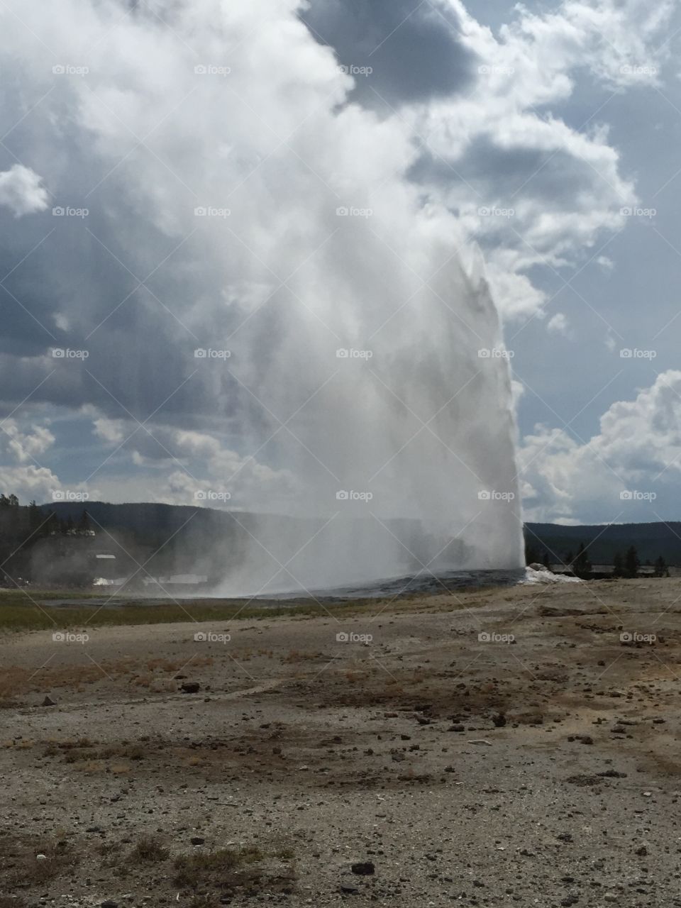 Yellowstone national park 
