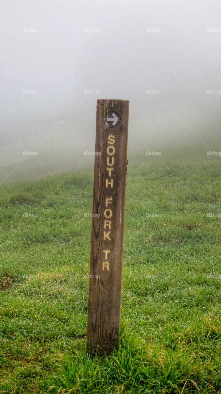 A trailhead sign post showing directions to each trail.