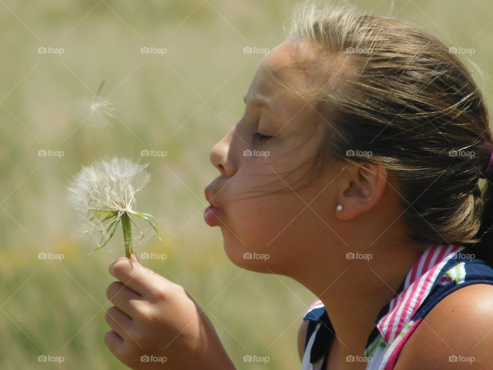 blowing seeds in the wind