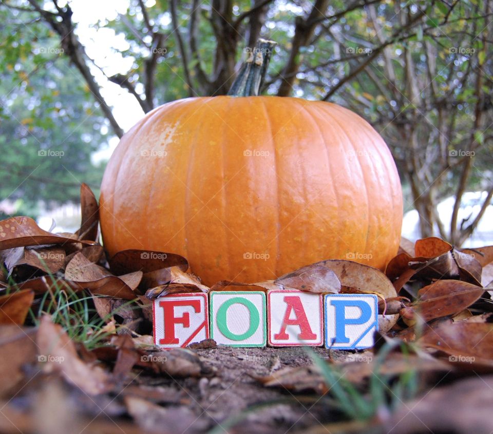 Fall Pumpkin.  FOAP