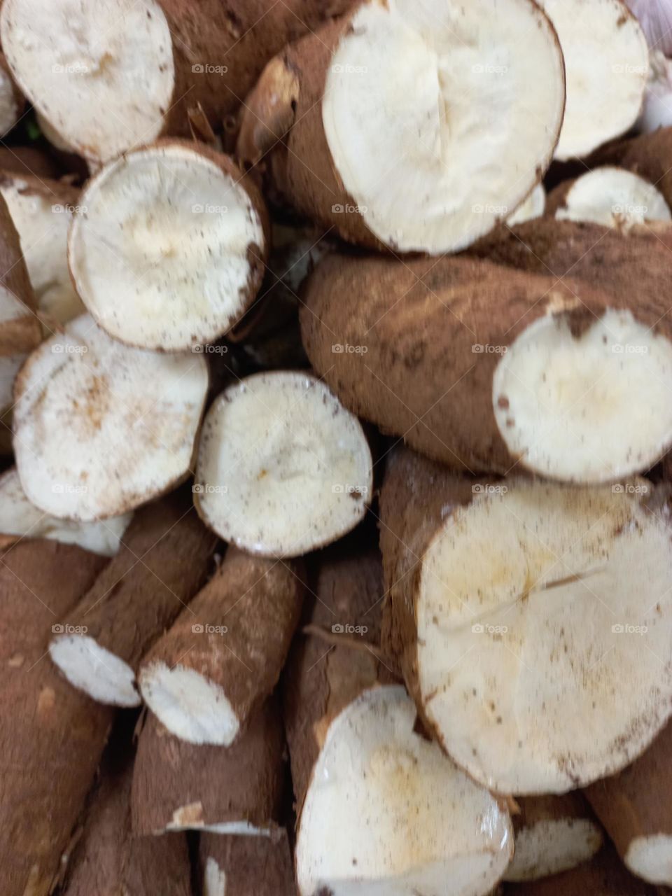 Mandioca: alimento tipicamente brasileiro. A mandioca  de mesa (mansa), aipim ou macaxeira, é uma raiz tuberosa, rica em amidos e, é um dos principais alimentos base em países em desenvolvimento, sendo muito utilizada na culinária  Brasileira