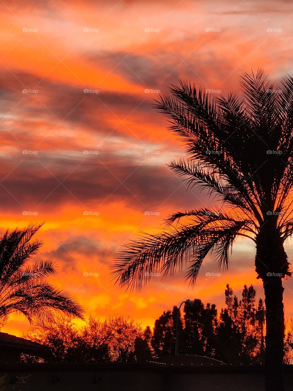 A brilliant sunset in Arizona glows with bright orange and red appearing more like fire in the sky