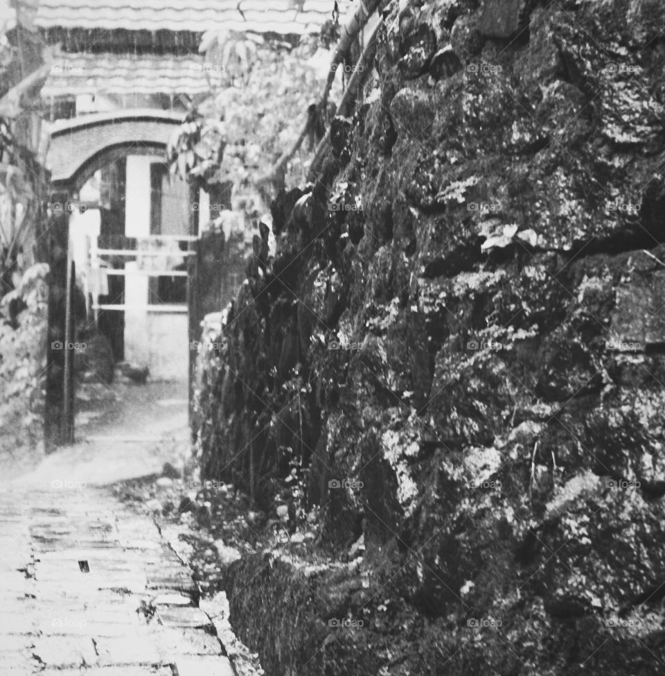 The split stone concrete is on the right side of the road so that it adds to the narrow alleyway that leads to the tiny house.