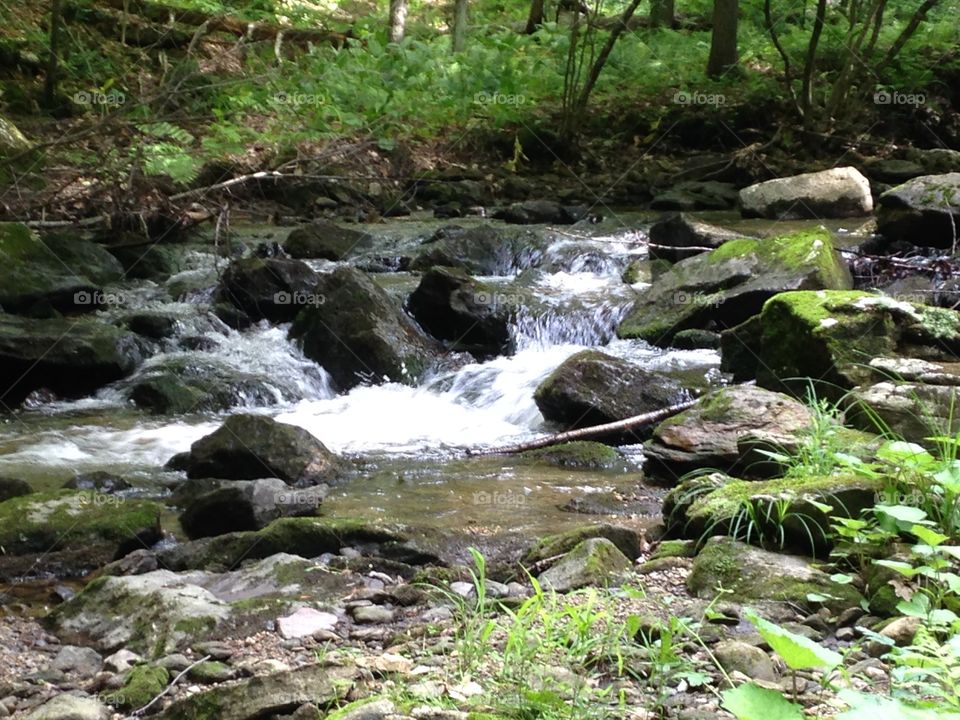 Mountain stream 
