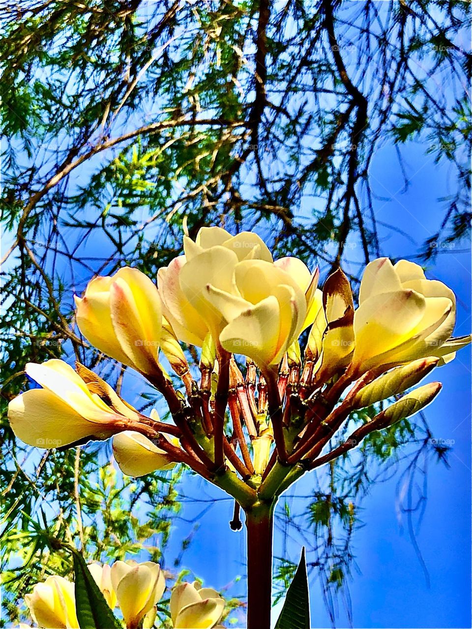 Upload photo of the month March