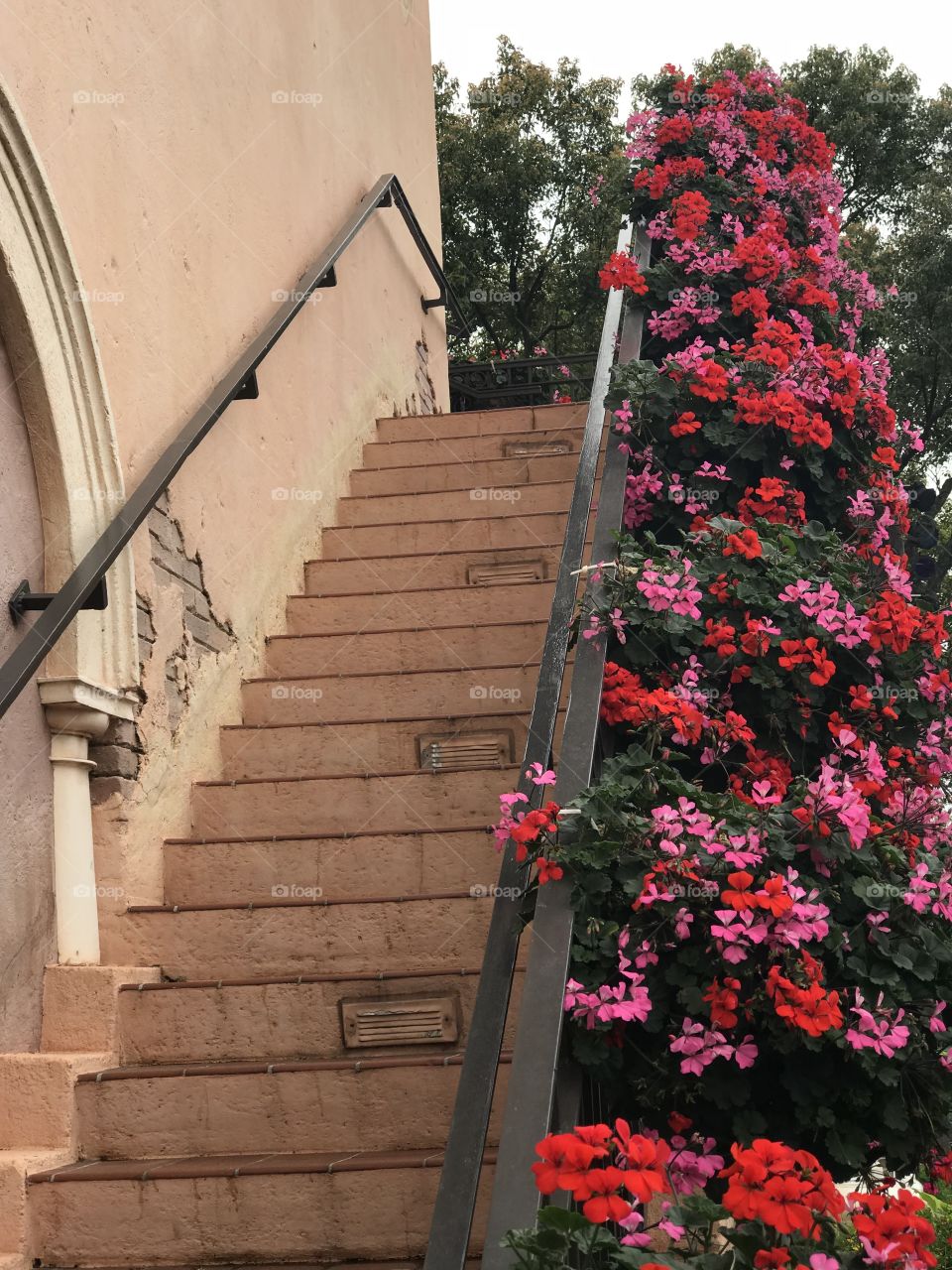 Flower baskets on railing