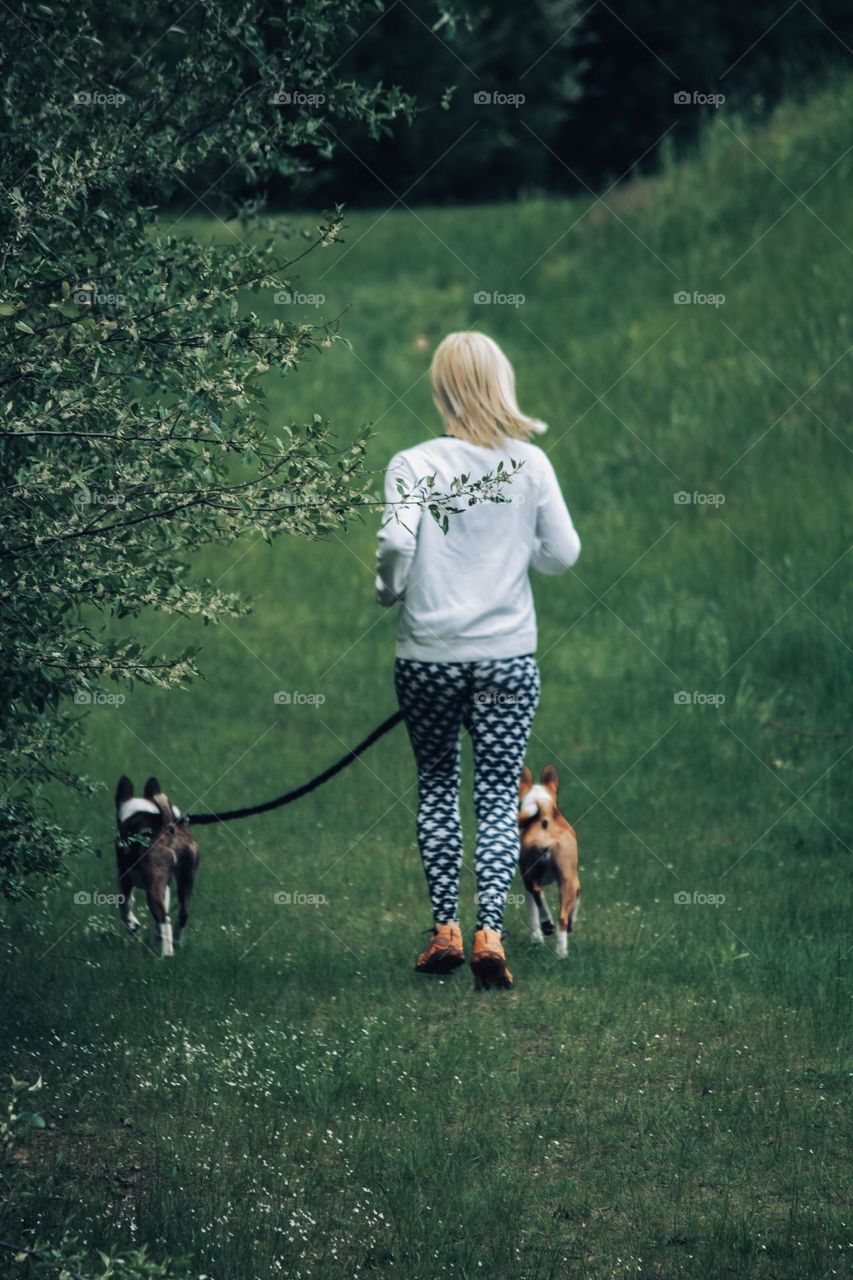 Walking the dogs