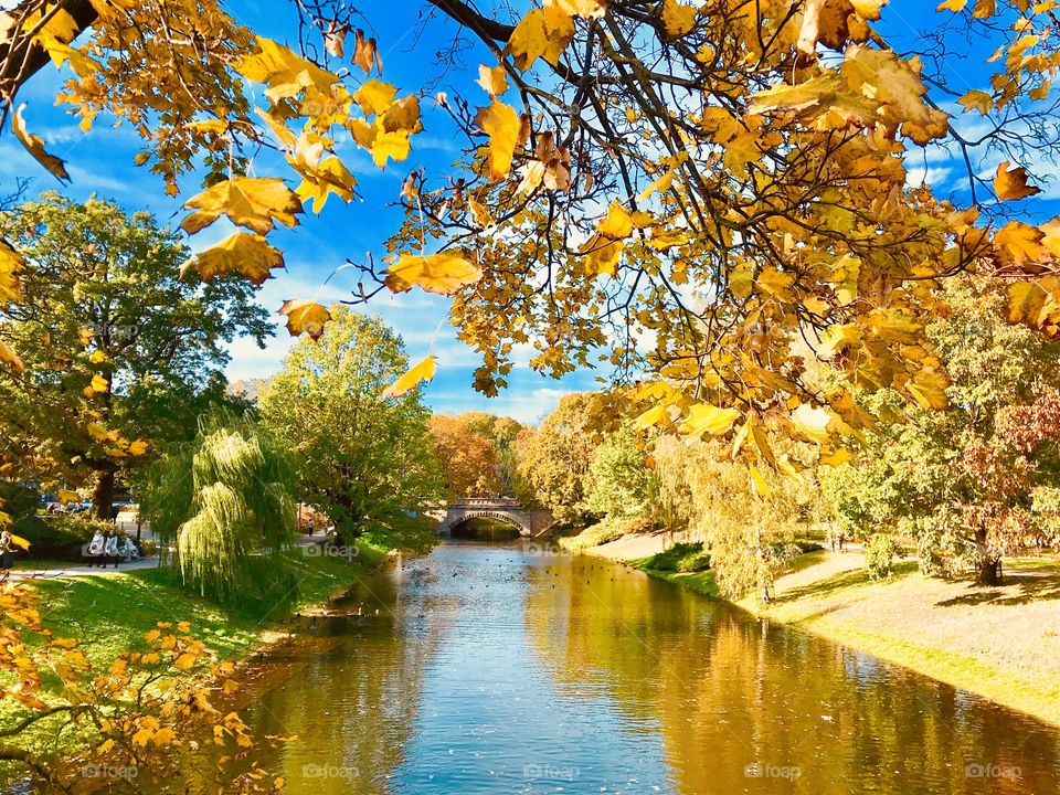 A river through a park on autumn colors 