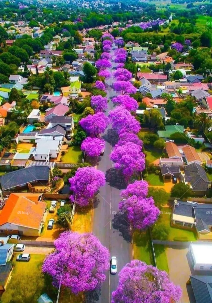 Amazing street and colors 