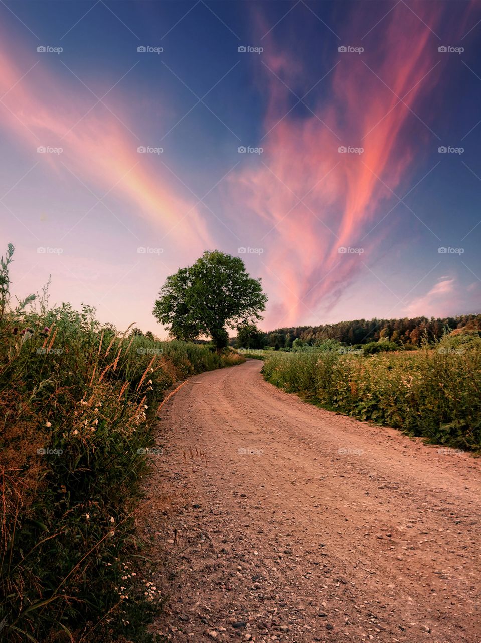 Beautiful road