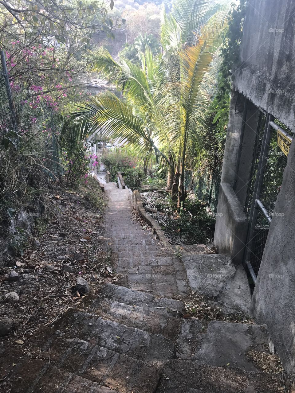 Walking down the stairs to the city centre in puerto Vallarta!