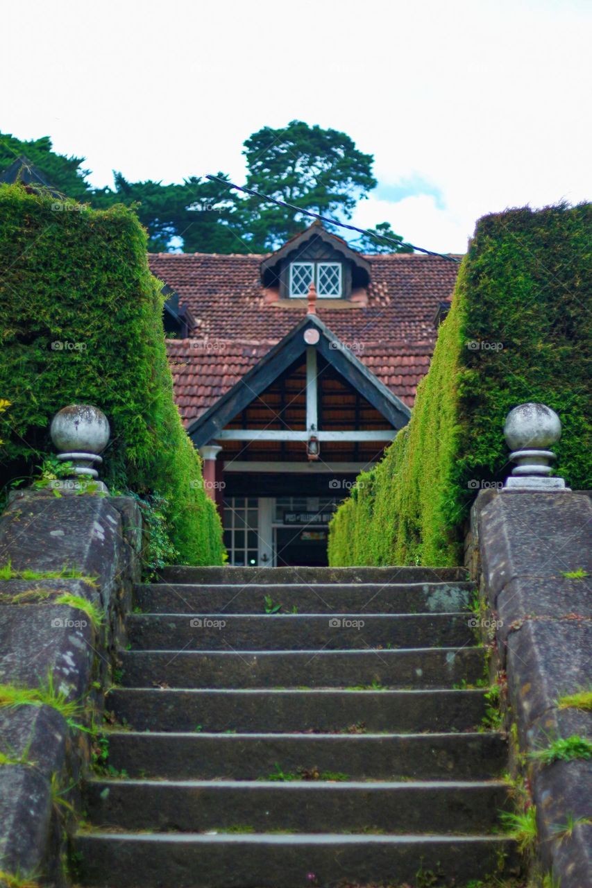 Beautiful old House