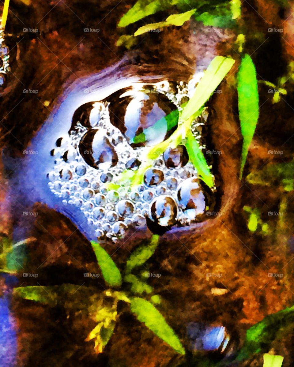 While out on a hike I noticed these bubbles floating down a small stream. As I bent down to take the photo I realized several interesting groups of bubbles were making their way along. It's neat what one can observe if the time is taken to slow down, really observe and appreciate the surroundings. Nature's bubbles...who'd have thought?