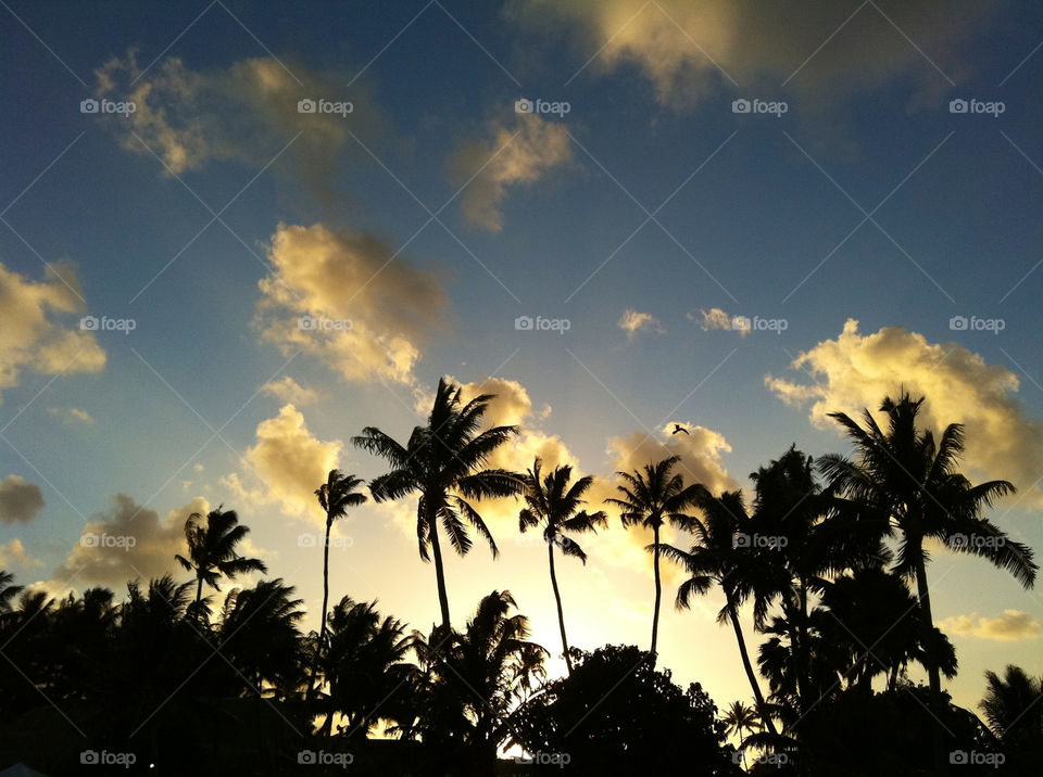tropical sky blue sunset by patrickshen