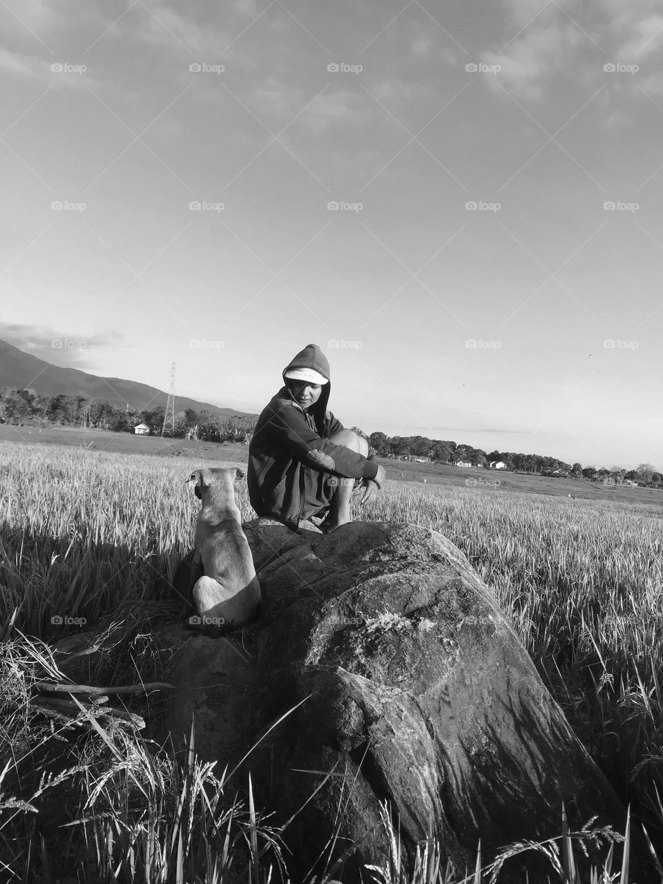 sitting relaxed in the middle of the rice fields