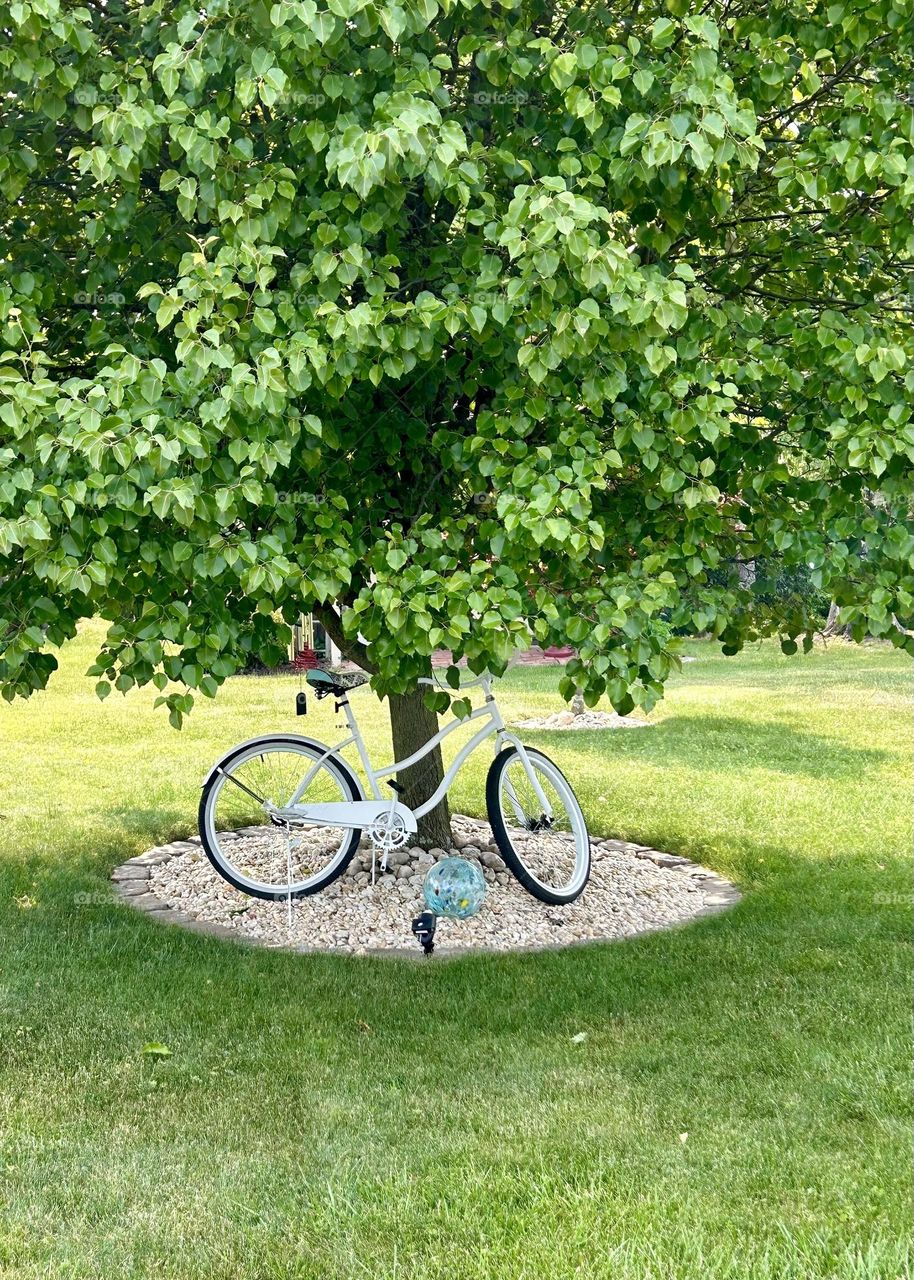 Solitary bike under a tree