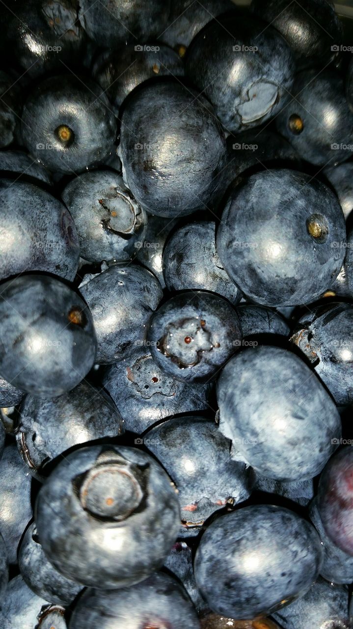 Full frame of blue berries