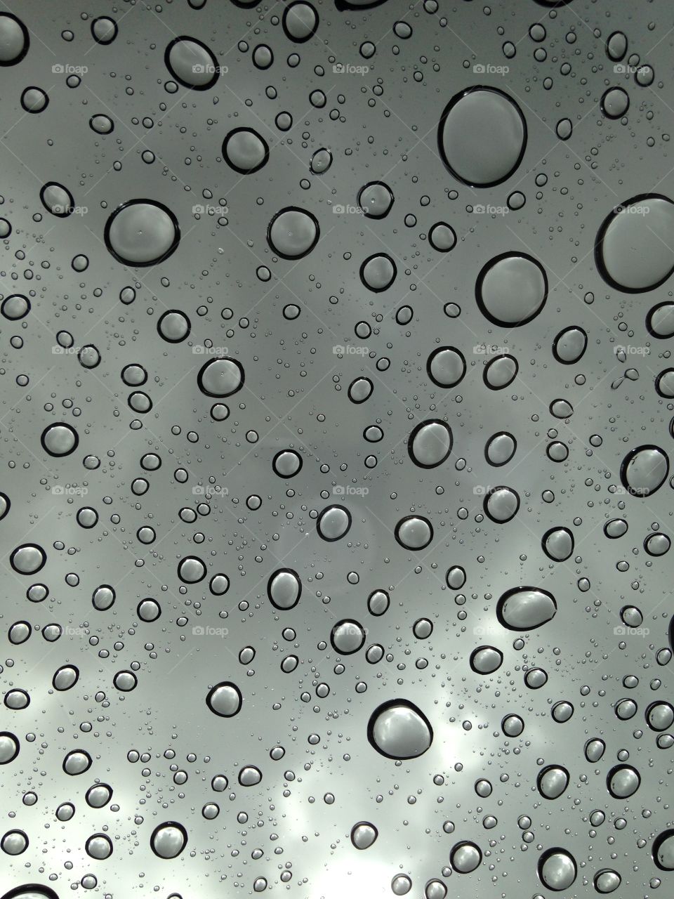 Rain drops 