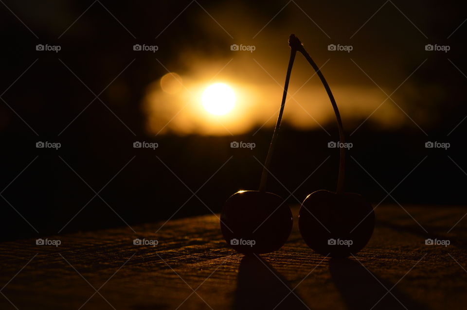 Close-up of berries during sunset