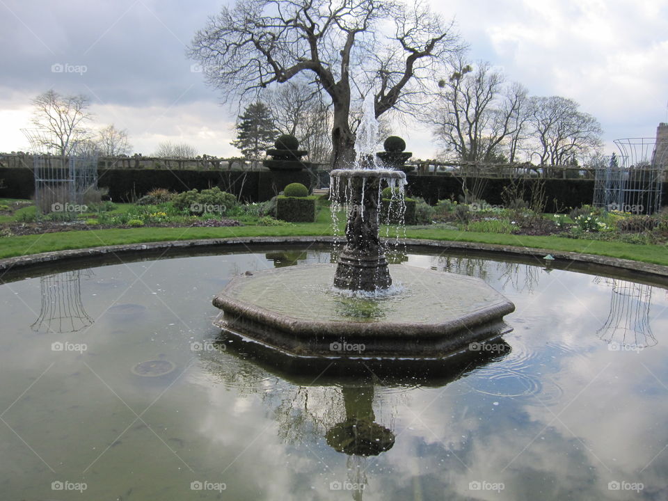 Tree, Fountain, Pool, Water, Park