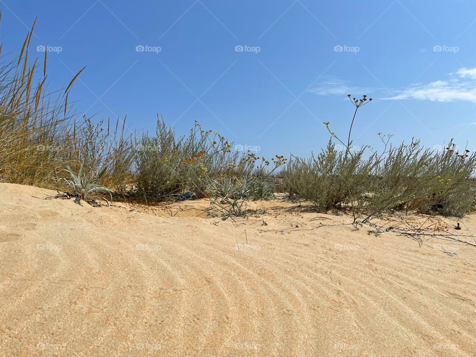 Sandy dunes 🌵