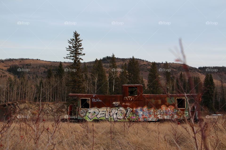 Retired caboose in the foothills decorated with graffiti.