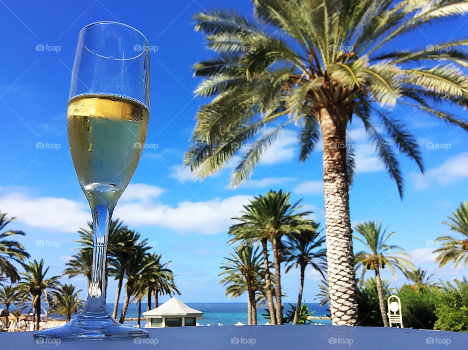 Glass of cold champagne at the tropical seaside with palm trees on blue sky background 