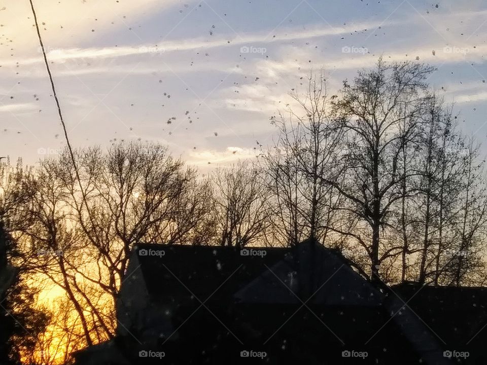 sunset with thin clouds