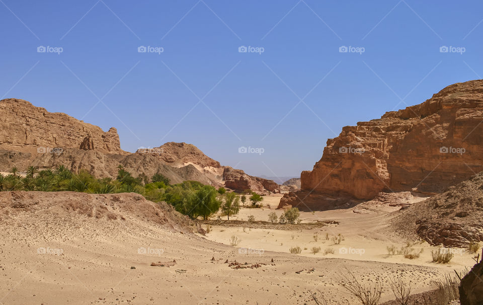 View of desert in egypt