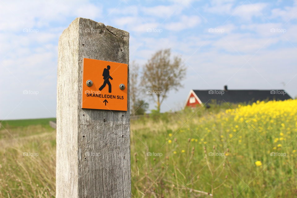 Hiking in Skåne, Skåneleden, Sweden.