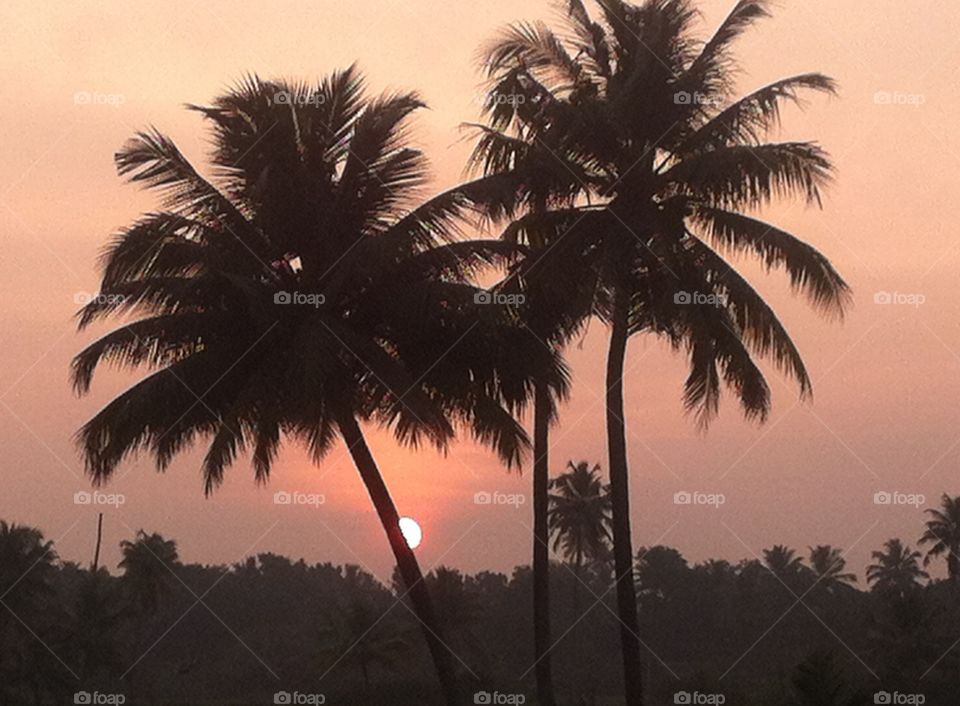sunset in the backwaters in Kerala