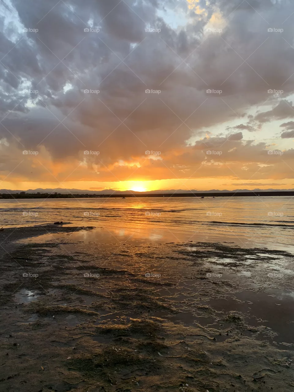 Vivid Sunset 