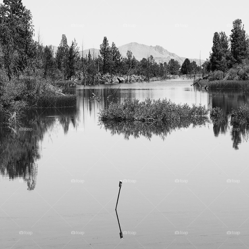 An agricultural pond used for farm irrigation with hills in the background and trees and bushes on the shores on a sunny day in Central Oregon. 
