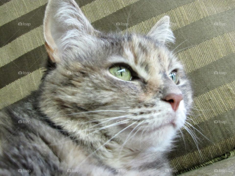 Looking to see what's there