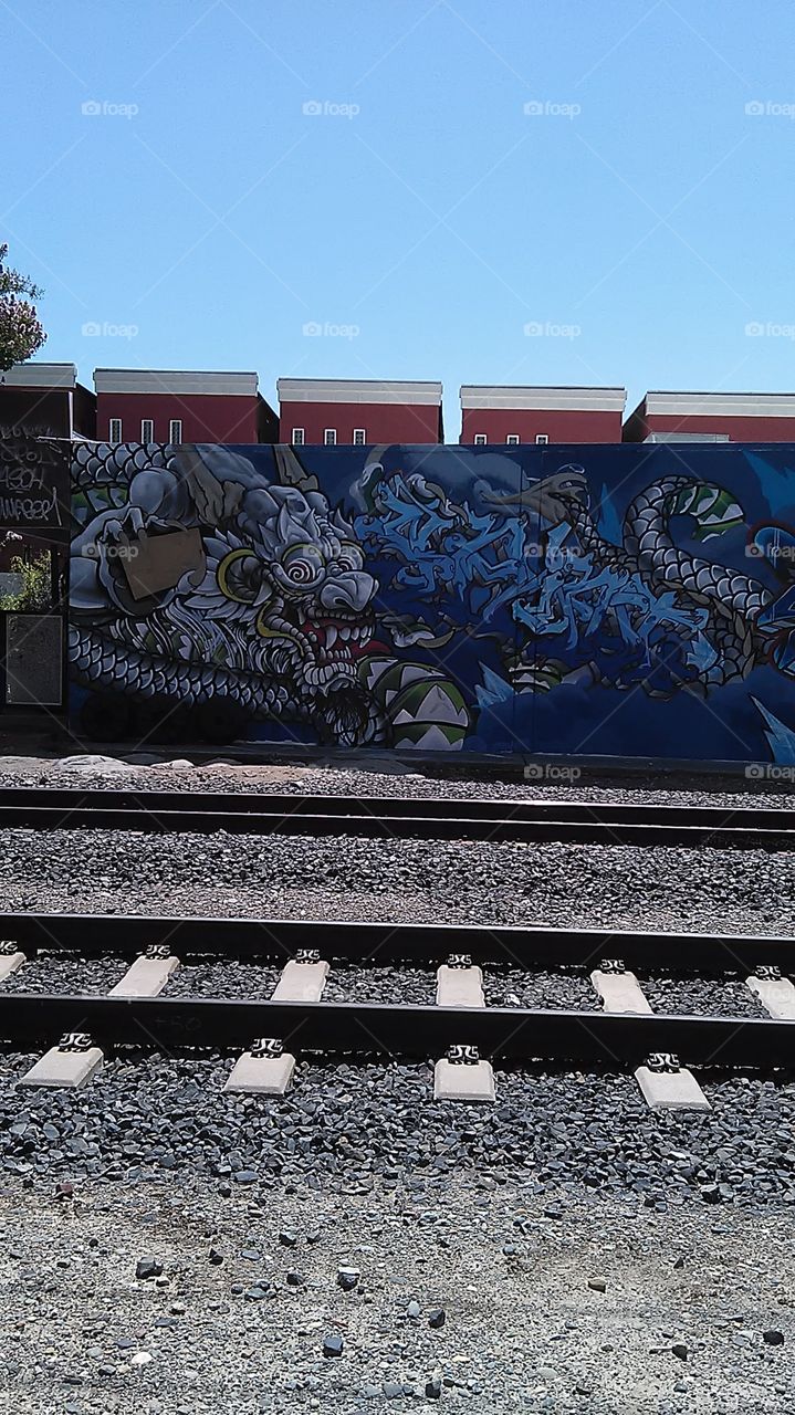 Verdugo dragon eyes. Walking along the train tracks