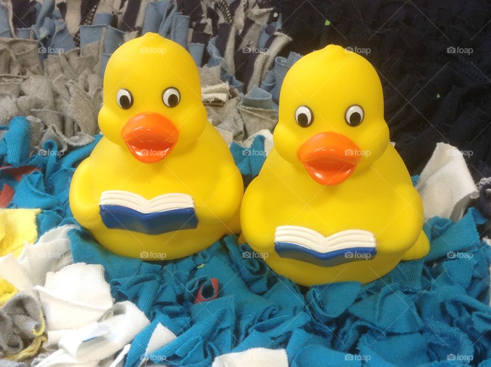 Two little ducks. Quack quack!