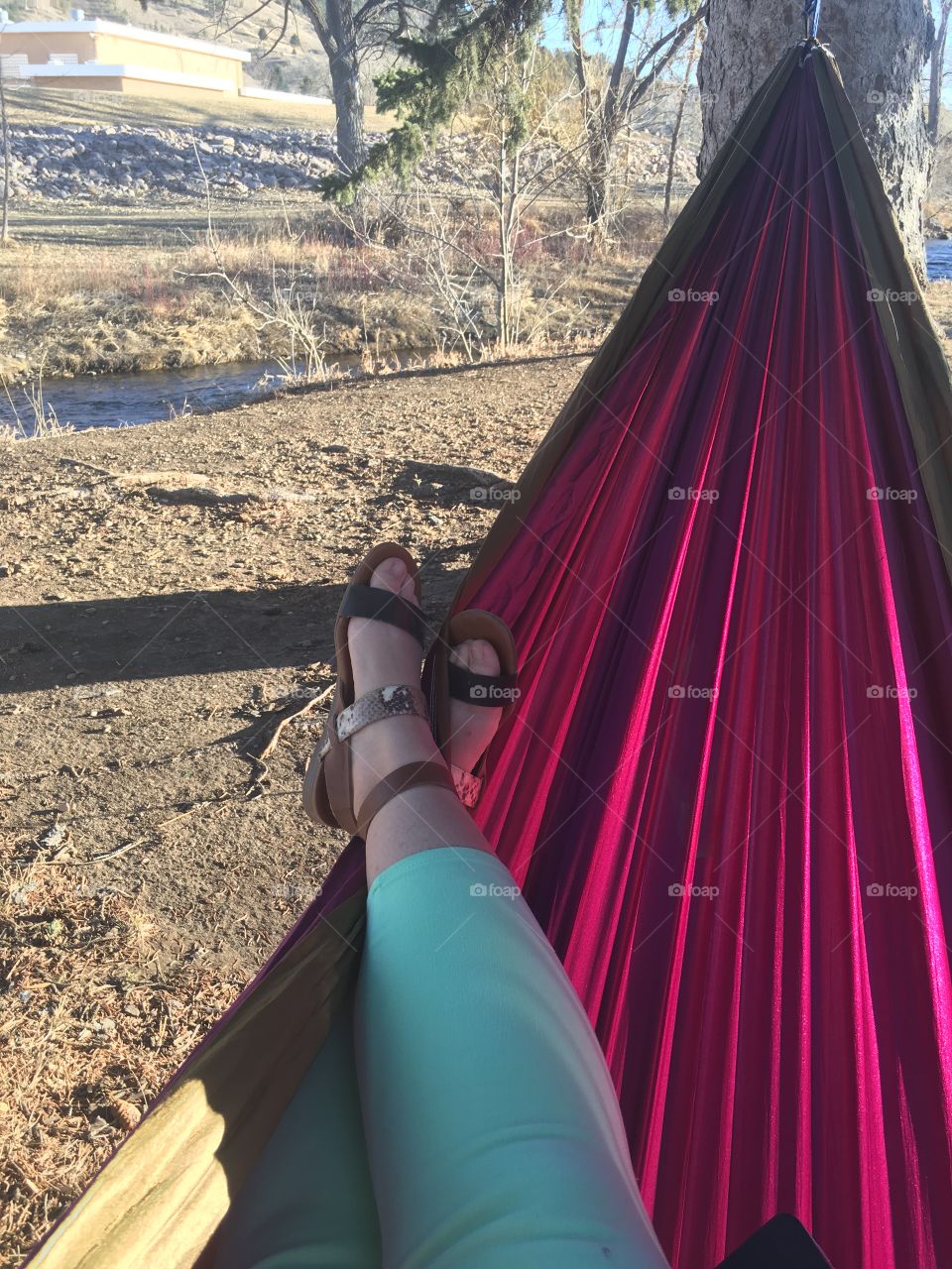 view from a hammock