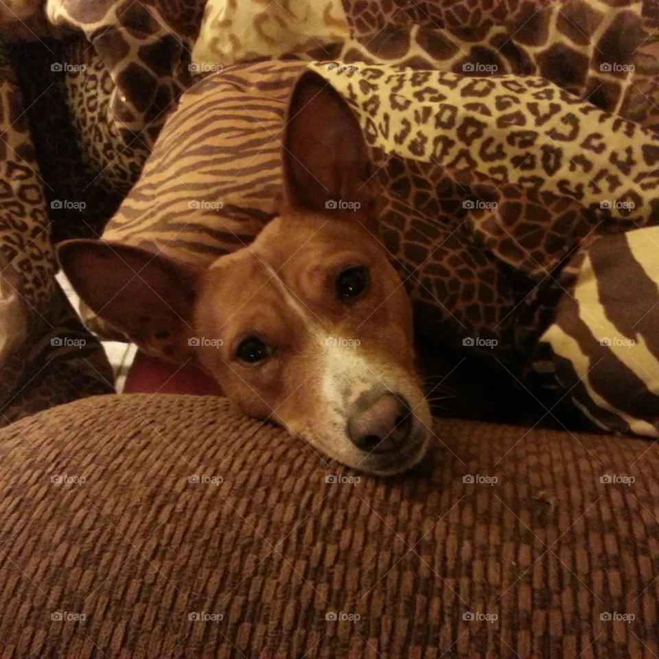 JuneBug1