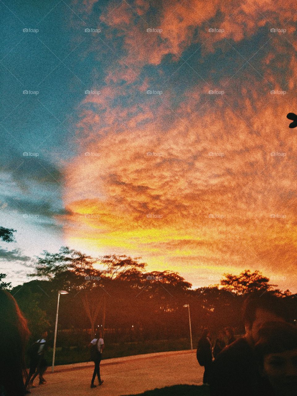 O céu, em fim de tarde.
