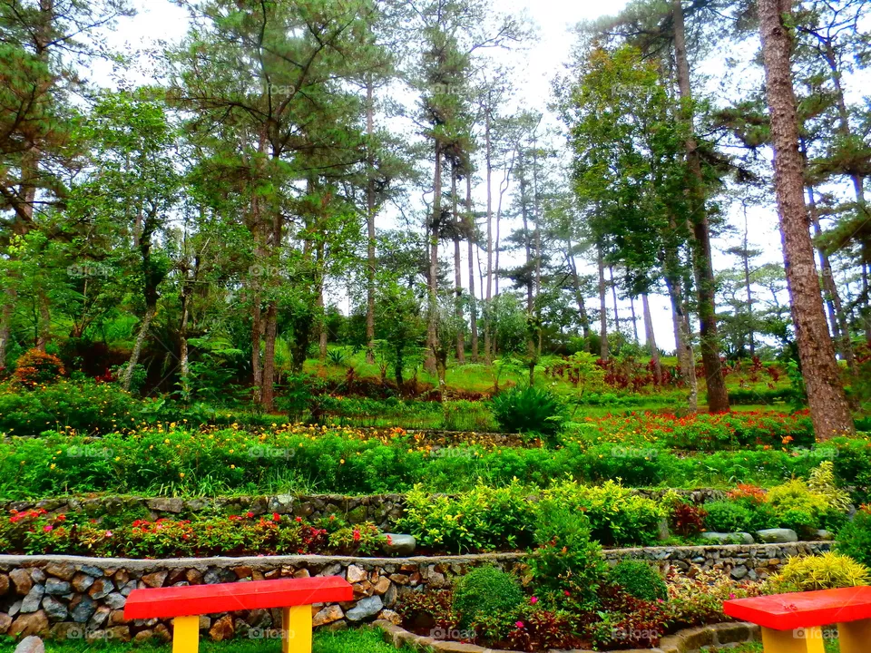 Park