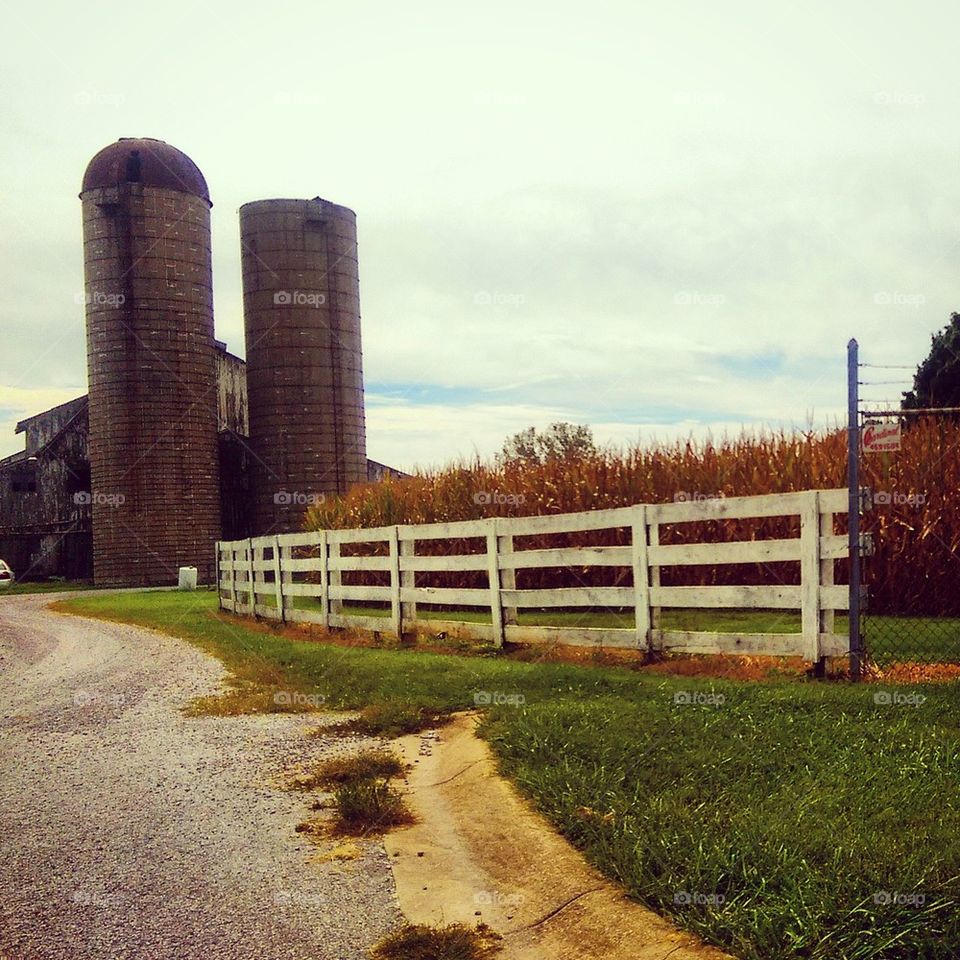 Kentucky Farm