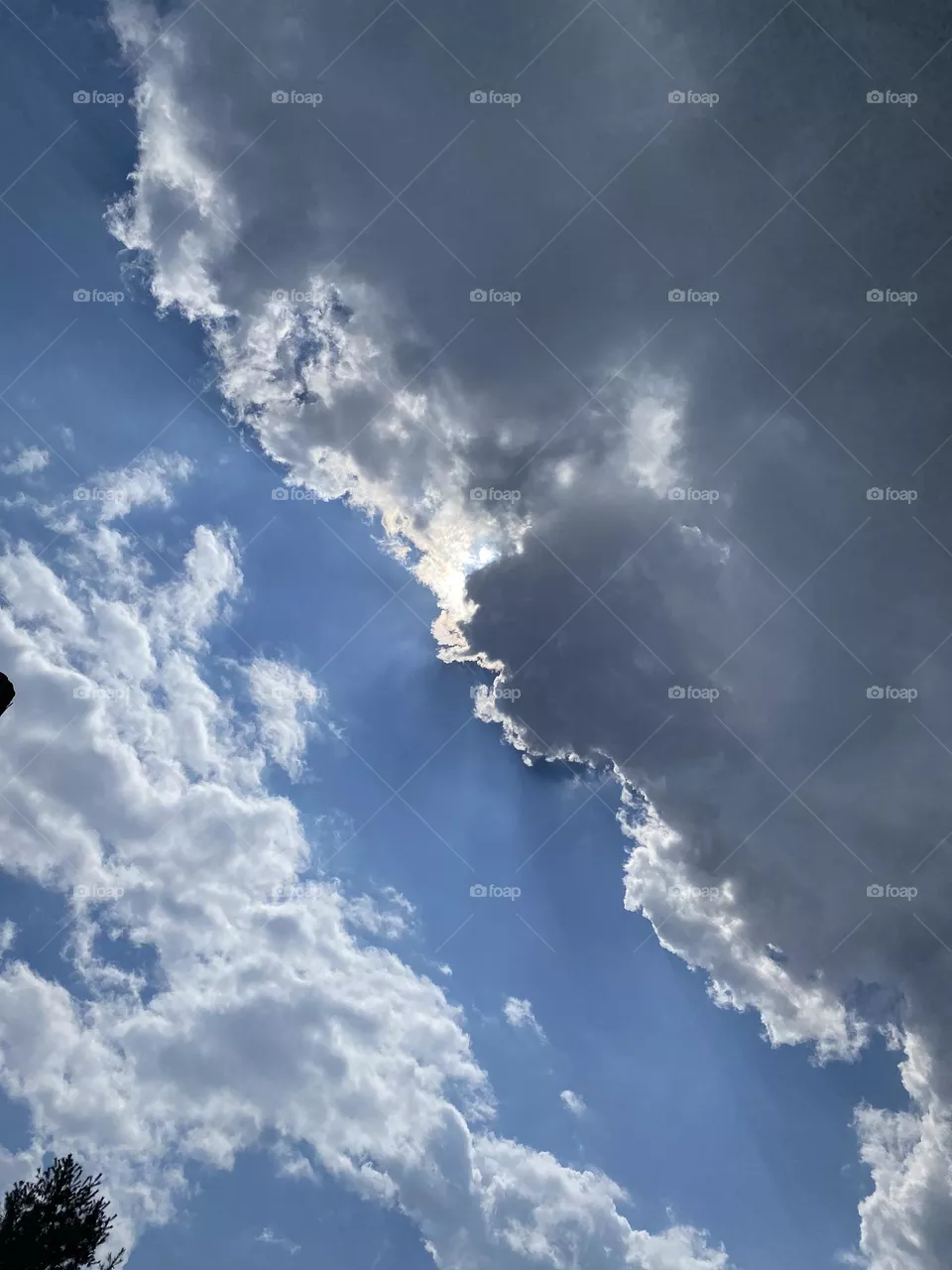 Always looking up 
