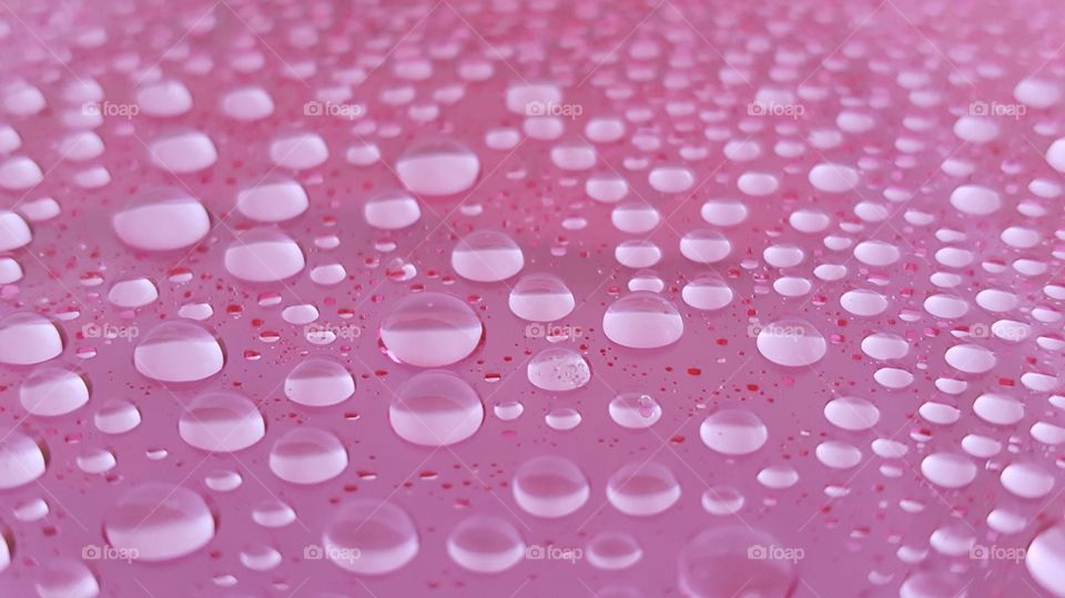 drops of water on pink background