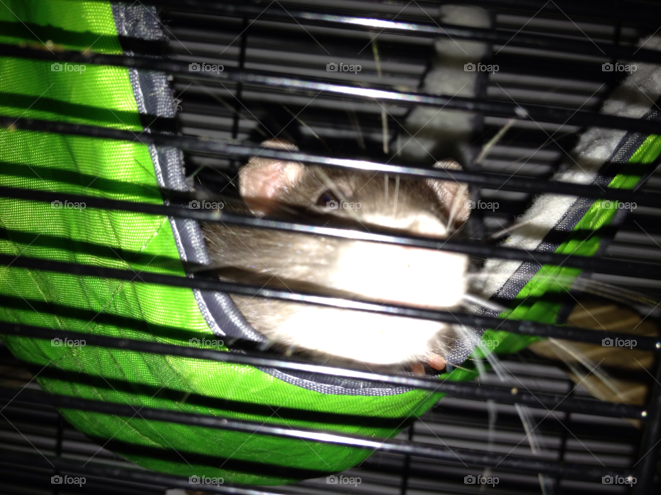 Abstract, Light, Desktop, Glass Items, Technology