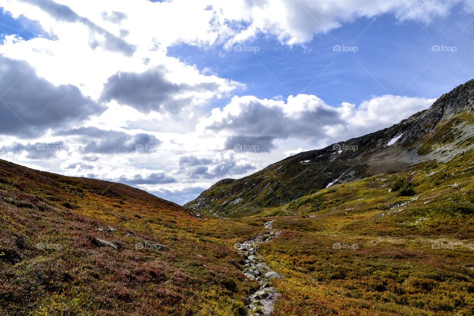 View of hill in Telemark Norway