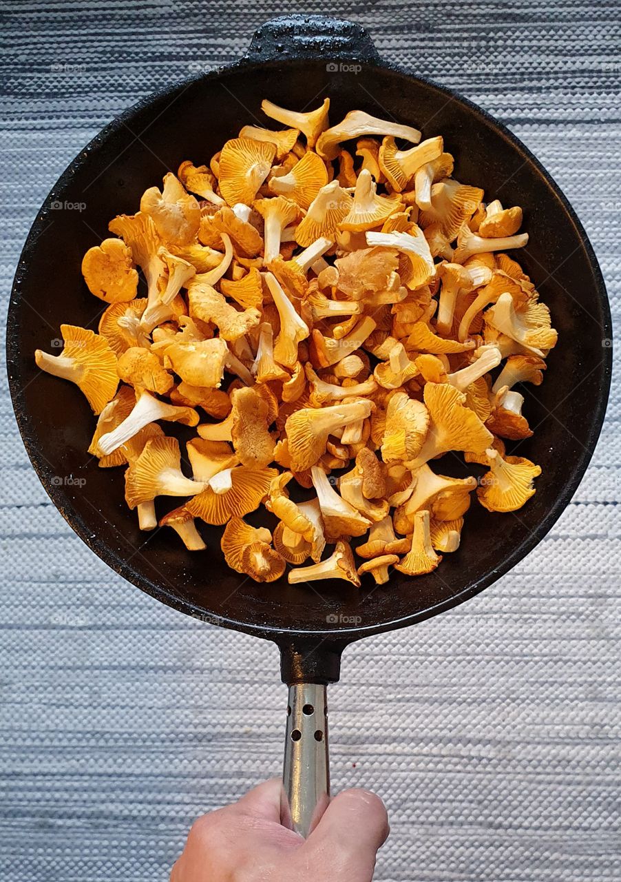 Frying pan full of chanterelles