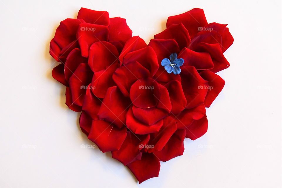 Red rose heart