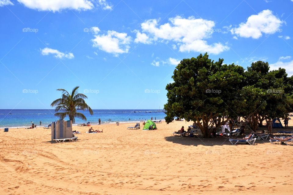 Beach, Sand, Tropical, Seashore, Relaxation