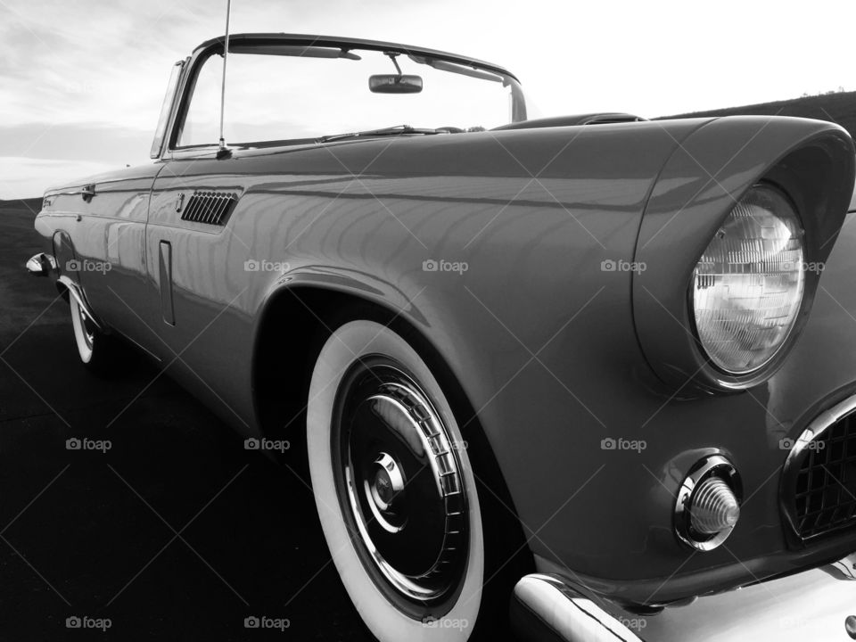 1956 Thunderbird 