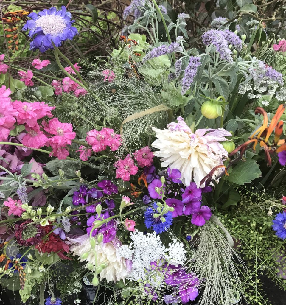 Assortment of colorful flowers 